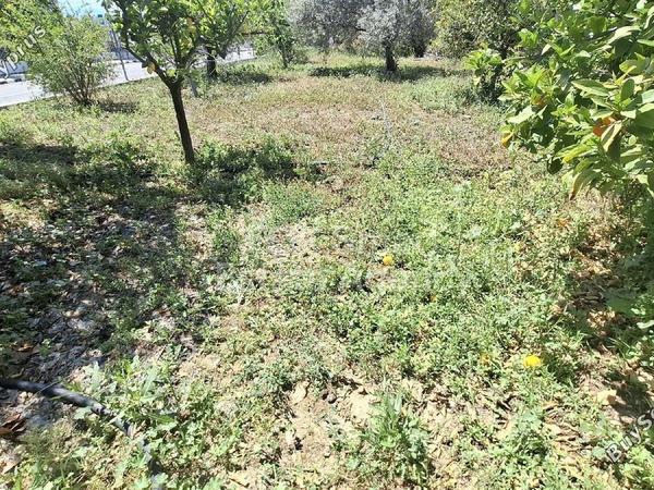 4 bedroom detached house for sale pera orinis nicosia 1795444 image 12689090
