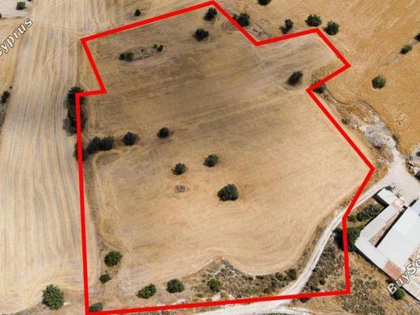 land for sale anglisides larnaca 839544 image 13353433