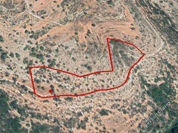 land for sale pachna limassol 1548544 image 6664935