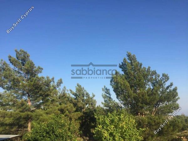 4 bedroom detached house for sale kellaki limassol 8745644 image 16434436