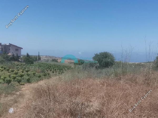 land for sale ineia paphos 8412644 image 16016133