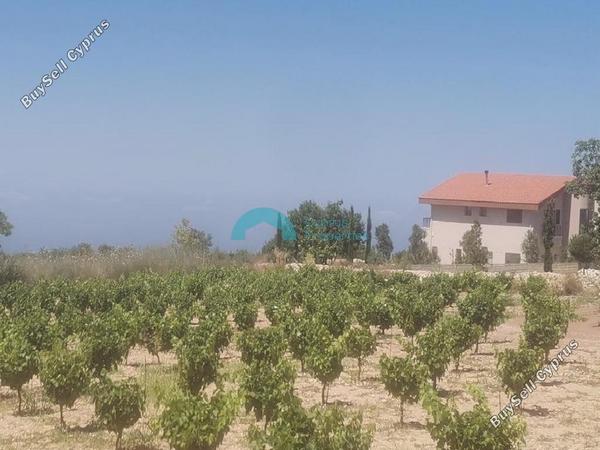 land for sale ineia paphos 8412644 image 16016134