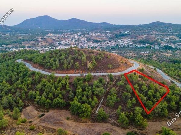 land for sale kornos larnaca 1194644 image 5568851