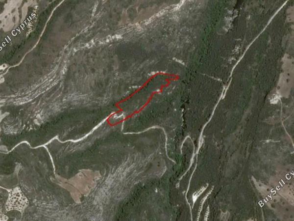 land for sale kritou tera paphos 8630644 image 15873895