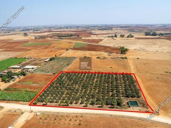 land for sale avgorou famagusta 1281744 image 16165706