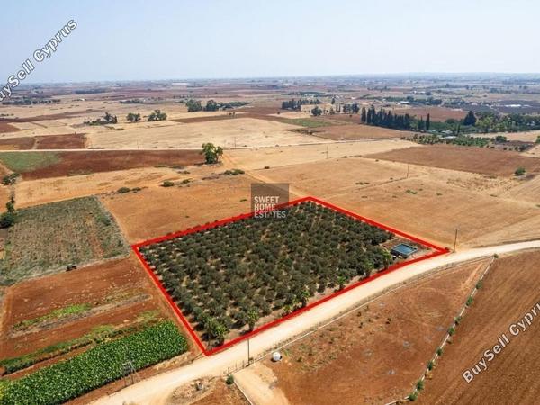 land for sale avgorou famagusta 1281744 image 16165709