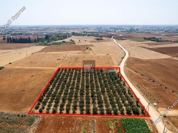 land for sale avgorou famagusta 1281744 image 16165712