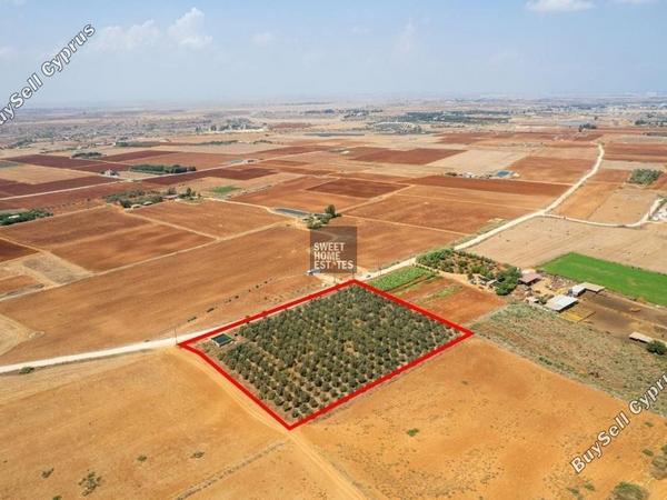 land for sale avgorou famagusta 1281744 image 17084034