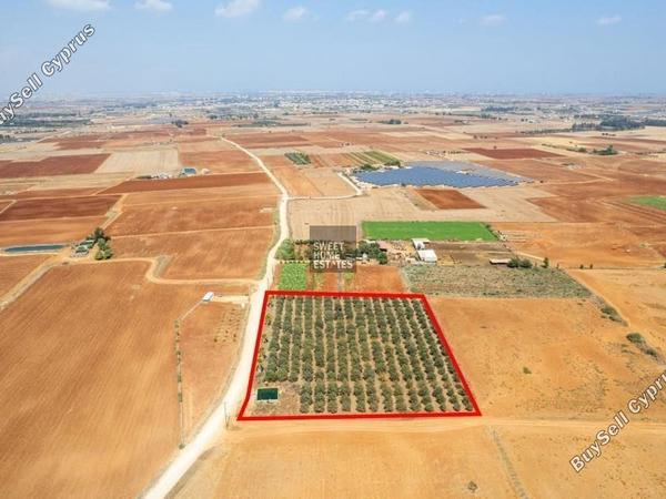 land for sale avgorou famagusta 1281744 image 17084036