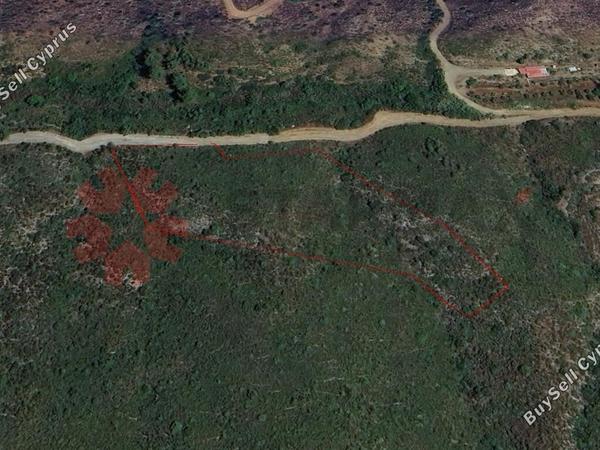 land for sale lageia larnaca 7708744 image 10227546