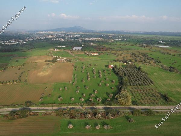 land for sale mazotos larnaca 1518744 image 12627625