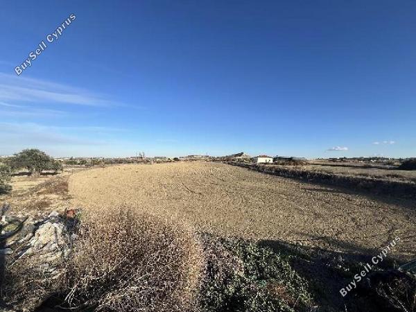 studio warehouse for sale marki nicosia 8531744 image 15464979