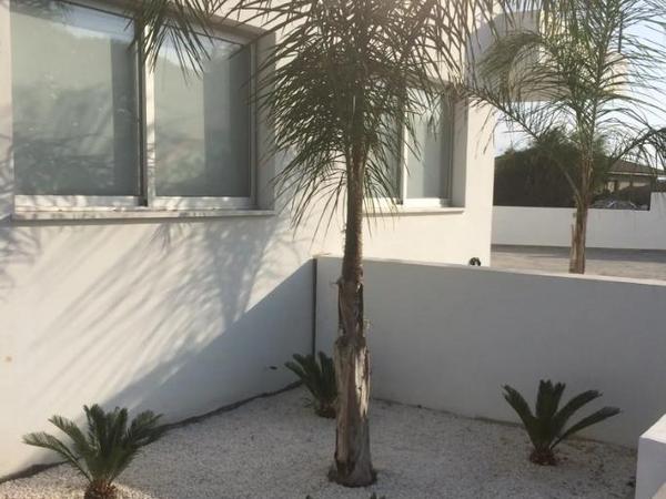 1 bedroom apartment for rent makedonitissa nicosia 8675844 image 16337292