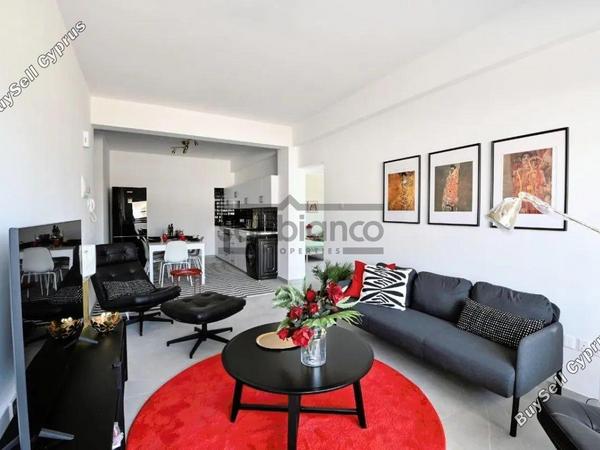 2 bedroom apartment for rent livadia larnacas larnaca 8738844 image 16365016