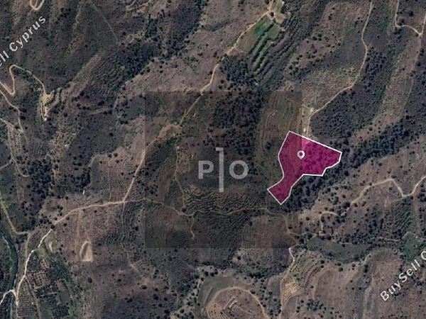 land for sale agios georgios kafkallou nicosia 8274844 image 15155484