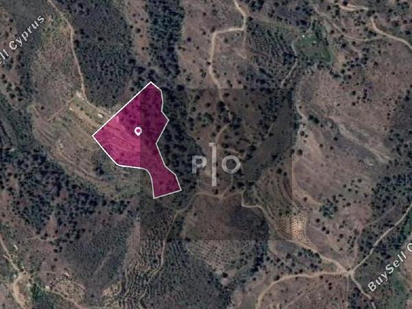 land for sale agios georgios kafkallou nicosia 8274844 image 15155488