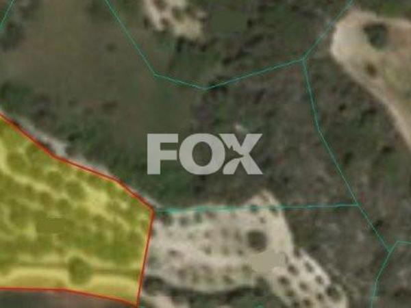 land for sale drousia paphos 1158844 image 5505946
