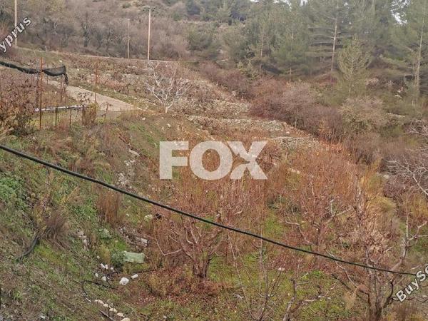 land for sale dymes limassol 1146844 image 5546003