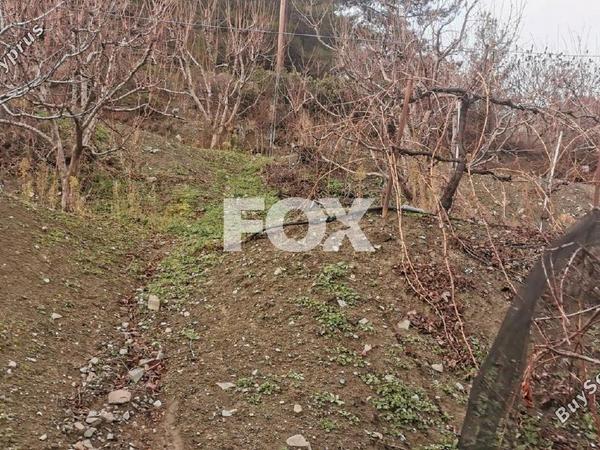 land for sale dymes limassol 1146844 image 5546005
