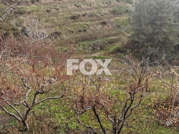 land for sale dymes limassol 1146844 image 5546007