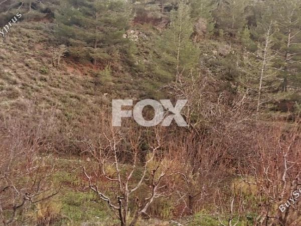 land for sale dymes limassol 1146844 image 5546009