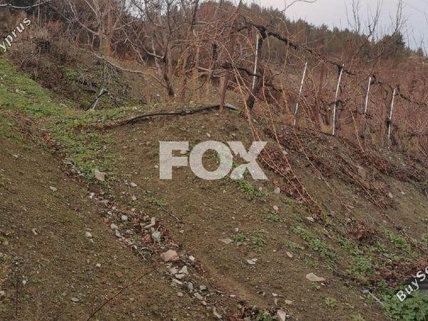 land for sale dymes limassol 1146844 image 5546011
