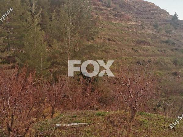 land for sale dymes limassol 1146844 image 5546012