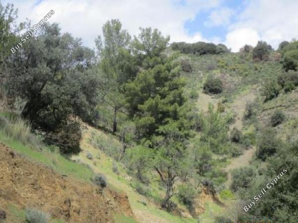 land for sale kaminaria limassol 945844 image 15602308