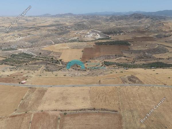 land for sale nikitari nicosia 8467844 image 15179654