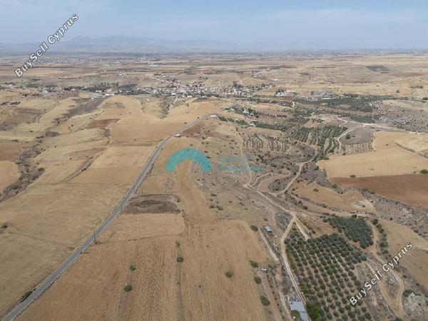 land for sale nikitari nicosia 8467844 image 15179656
