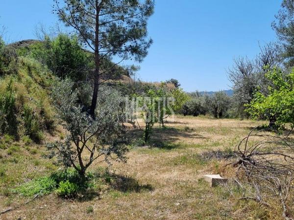 land for sale ora larnaca 1314844 image 16946774