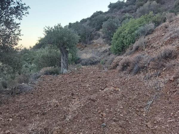 plot for sale pano lefkara larnaca 7573844 image 16131910