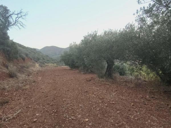 plot for sale pano lefkara larnaca 7573844 image 16131911