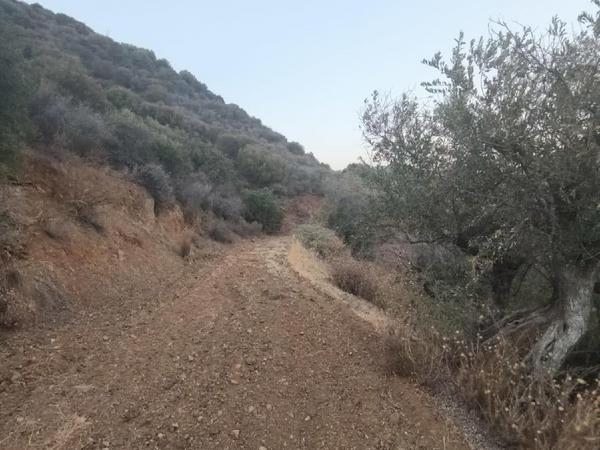 plot for sale pano lefkara larnaca 7573844 image 16131912