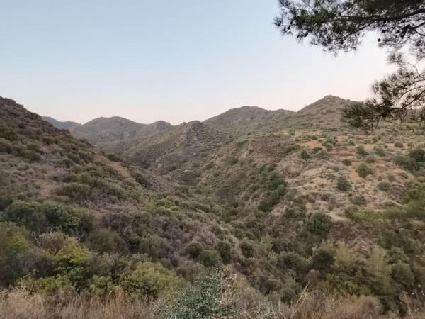 plot for sale pano lefkara larnaca 7573844 image 16131913
