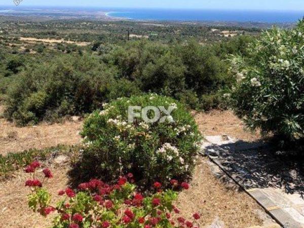 3 bedroom detached house for sale pano kivides limassol 1146944 image 5514097