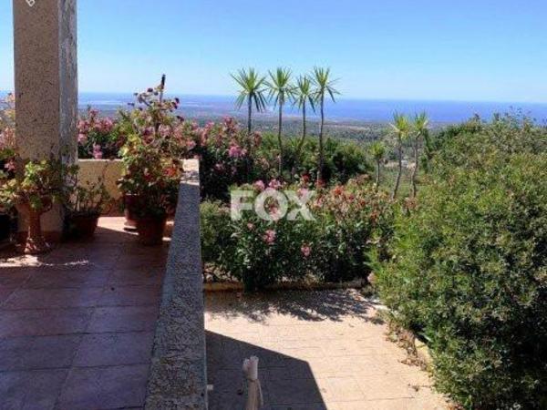 3 bedroom detached house for sale pano kivides limassol 1146944 image 5514102