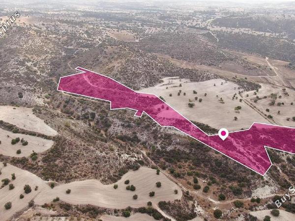 land for sale skarinou larnaca 8231944 image 15779610
