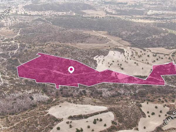 land for sale skarinou larnaca 8231944 image 15779611