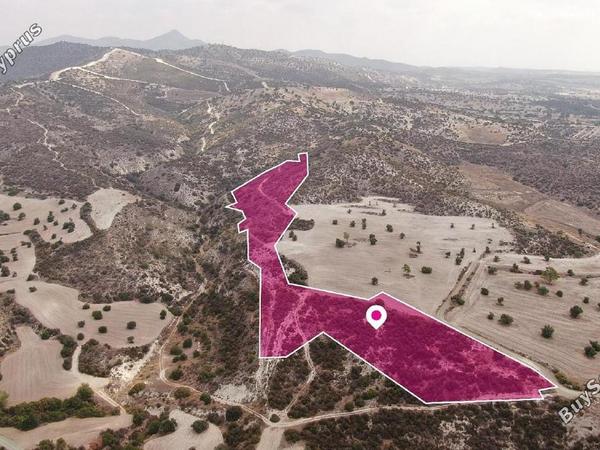 land for sale skarinou larnaca 8231944 image 15779612