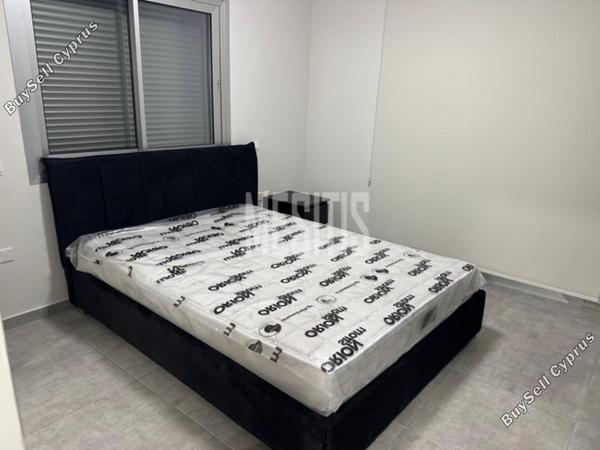 1 bedroom apartment for rent agios dometios nicosia 8566054 image 16340359