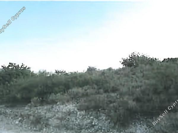 land for sale akrounta limassol 1594054 image 4958667