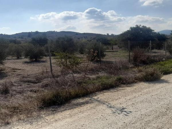 land for sale alampra nicosia 1062054 image 16162368