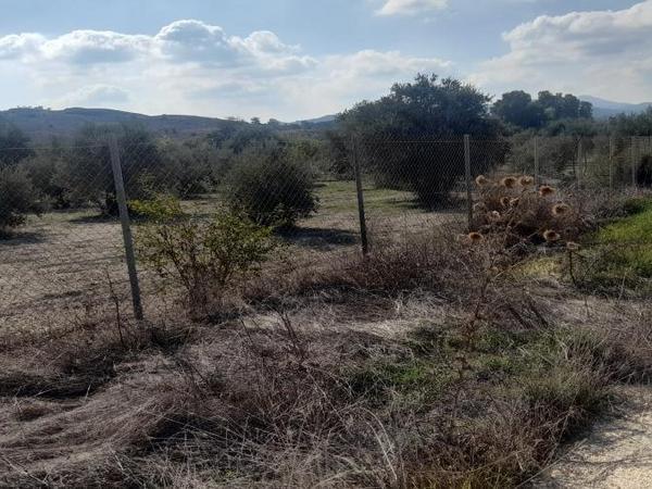 land for sale alampra nicosia 1062054 image 16162371