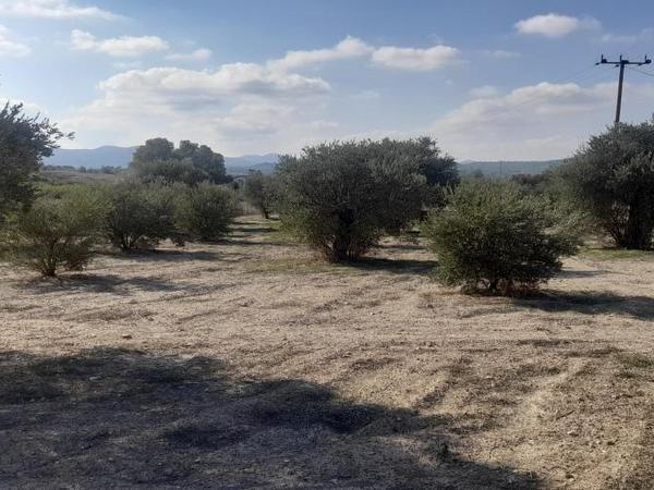 land for sale alampra nicosia 1062054 image 16162372