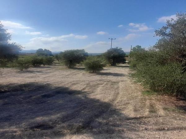 land for sale alampra nicosia 1062054 image 16162375