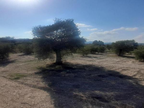 land for sale alampra nicosia 1062054 image 16162379