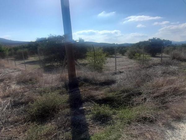 land for sale alampra nicosia 1062054 image 16162382