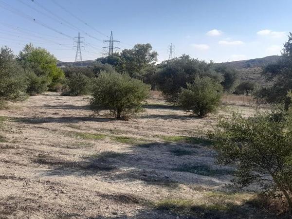 land for sale alampra nicosia 1062054 image 16162388