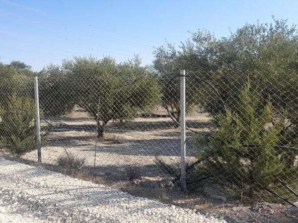 land for sale alampra nicosia 1062054 image 16162393